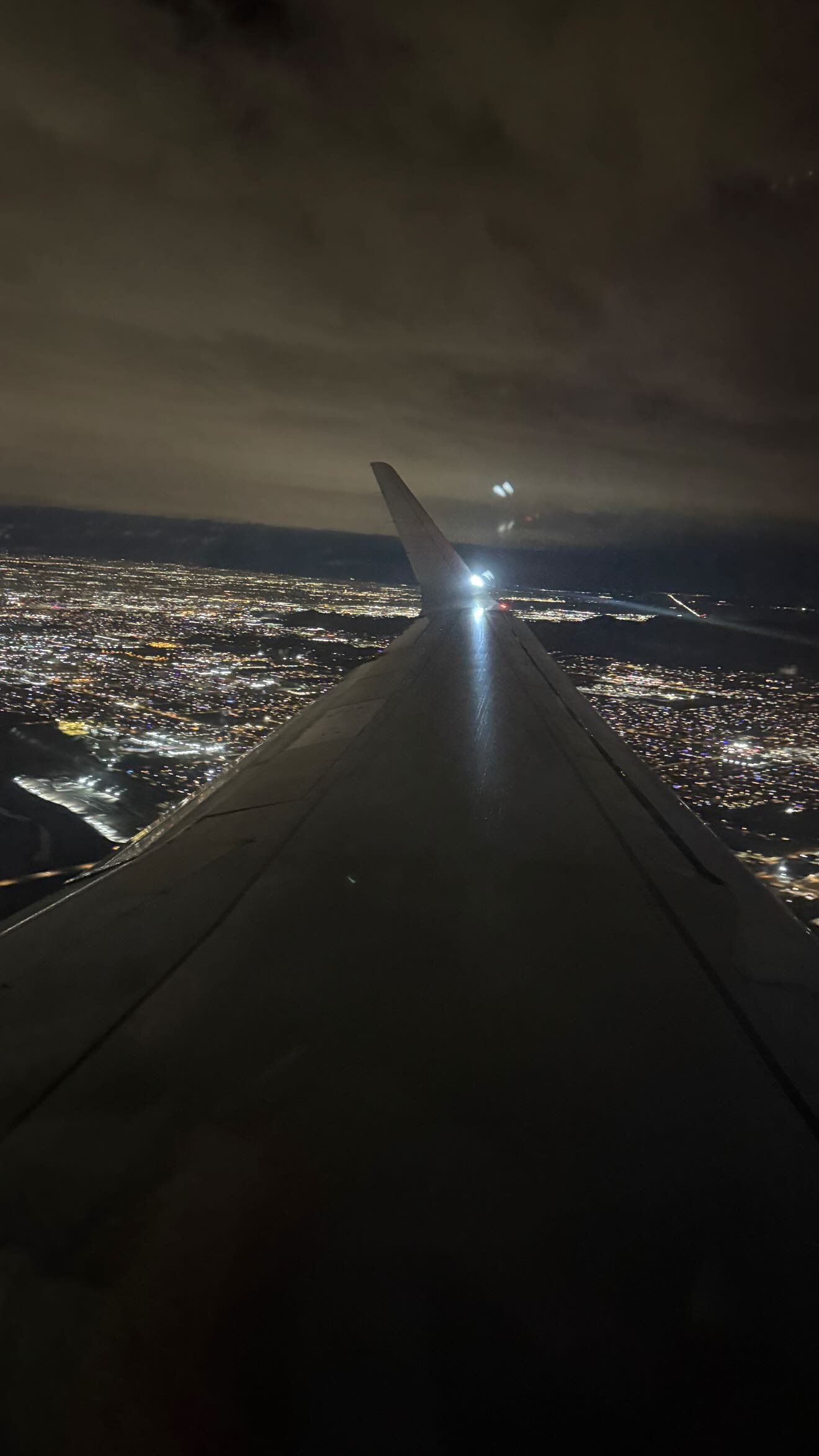 zommmbri instagram image archive image