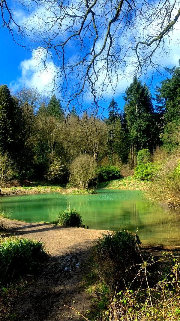 mollieruck instagram image archive image