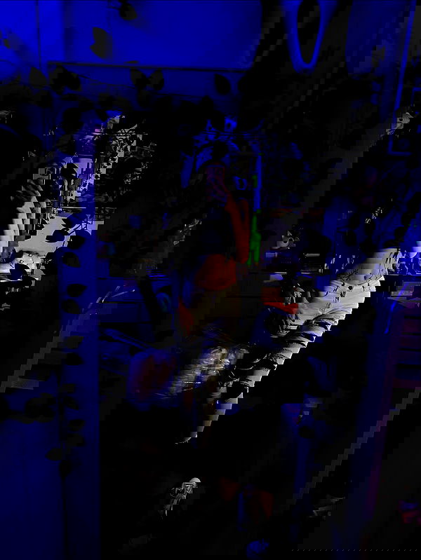 _animechika_ _animechika_ archive image