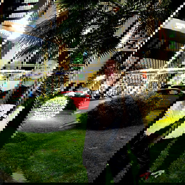 pinx_ir pinx_ir archive image