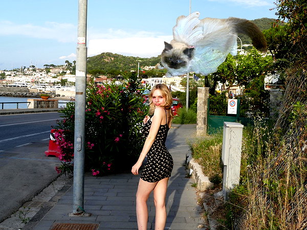 leni.bahr instagram image archive image