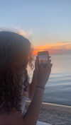 suzynorthway Altpins Profile Picture