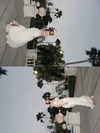 _wiyc.knz Altpins Profile Picture