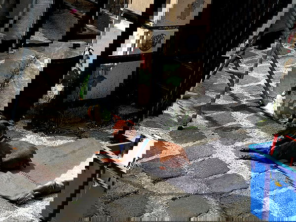 manjolamuriqi manjolamuriqi archive image