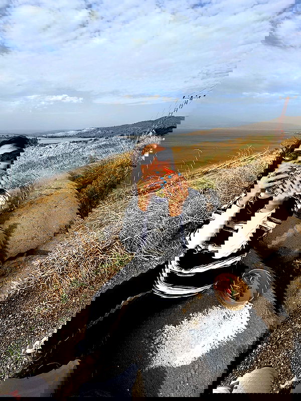 iambohema.v2 iambohema.v2 archive image