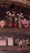 ann.shellll Altpins Profile Picture