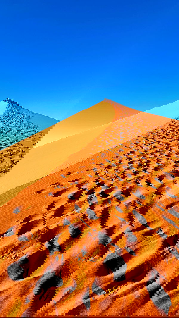 taylor.creeden taylor.creeden archive image