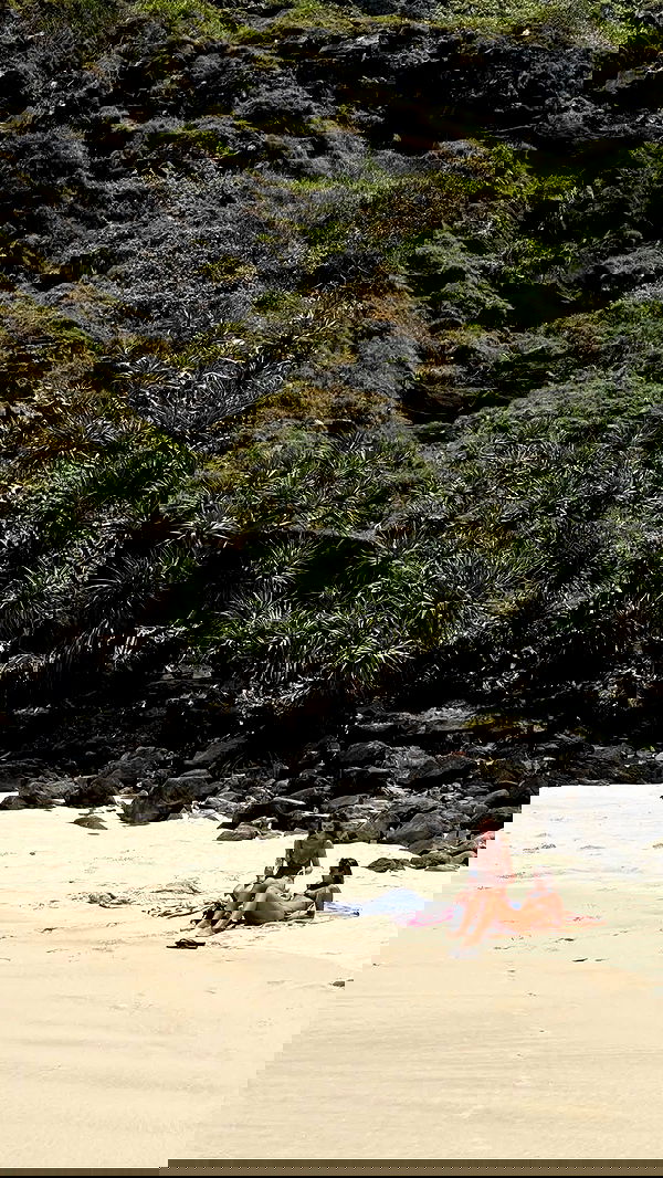 taylor.creeden taylor.creeden archive image