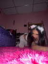puppyknucklesxx Altpins Profile Picture