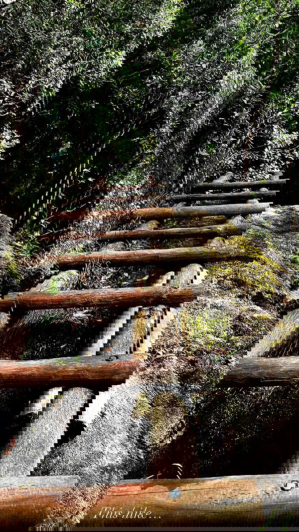 taylor.creeden taylor.creeden archive image