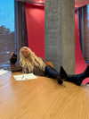 xtina Altpins Profile Picture