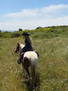 carolinezalog Altpins Profile Picture