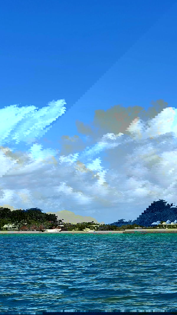 manjolamuriqi manjolamuriqi archive image