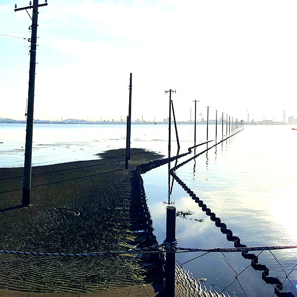 muze instagram image archive image