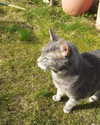 jahia_brown Altpins Profile Picture