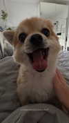 nina.kxs Altpins Profile Picture