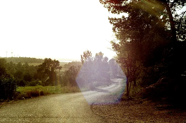 nikolpeleg instagram image archive image