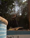 karin_orhov Altpins Profile Picture