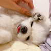 dear.zia Altpins Profile Picture