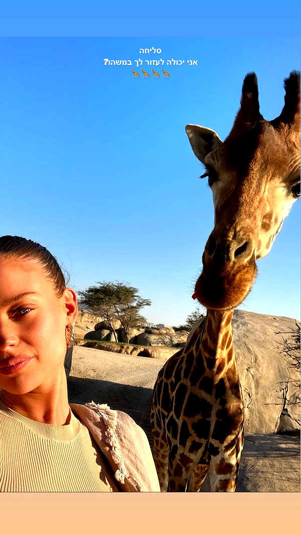 barzomer instagram image archive image