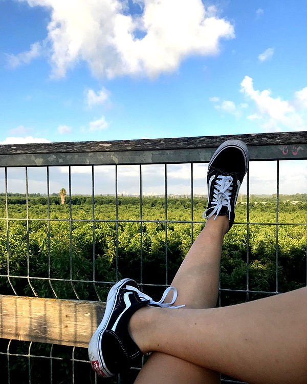 yanavekno instagram image archive image