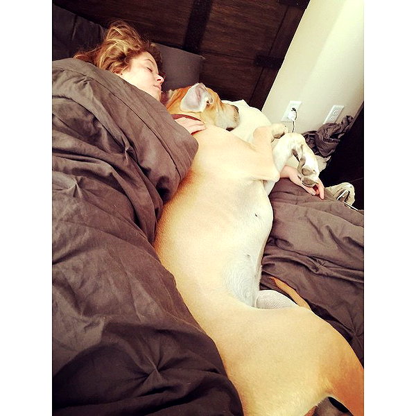 sashapieterse instagram image archive image