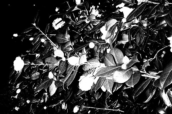 bugz4brainz instagram image archive image