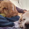 muze Altpins Profile Picture