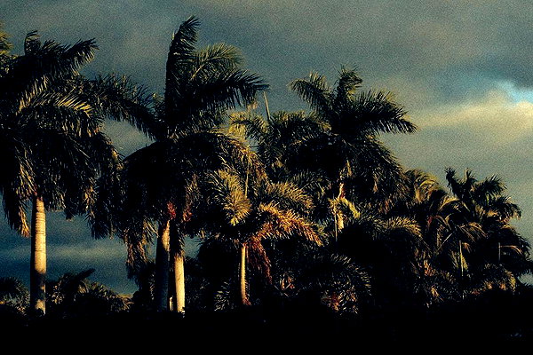 adele instagram image archive image