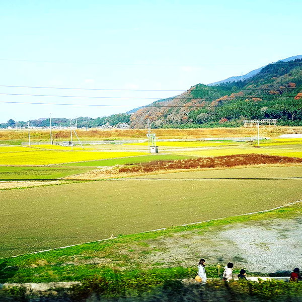 muze instagram image archive image