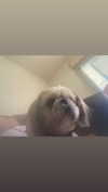 babynympho_archive Altpins Profile Picture