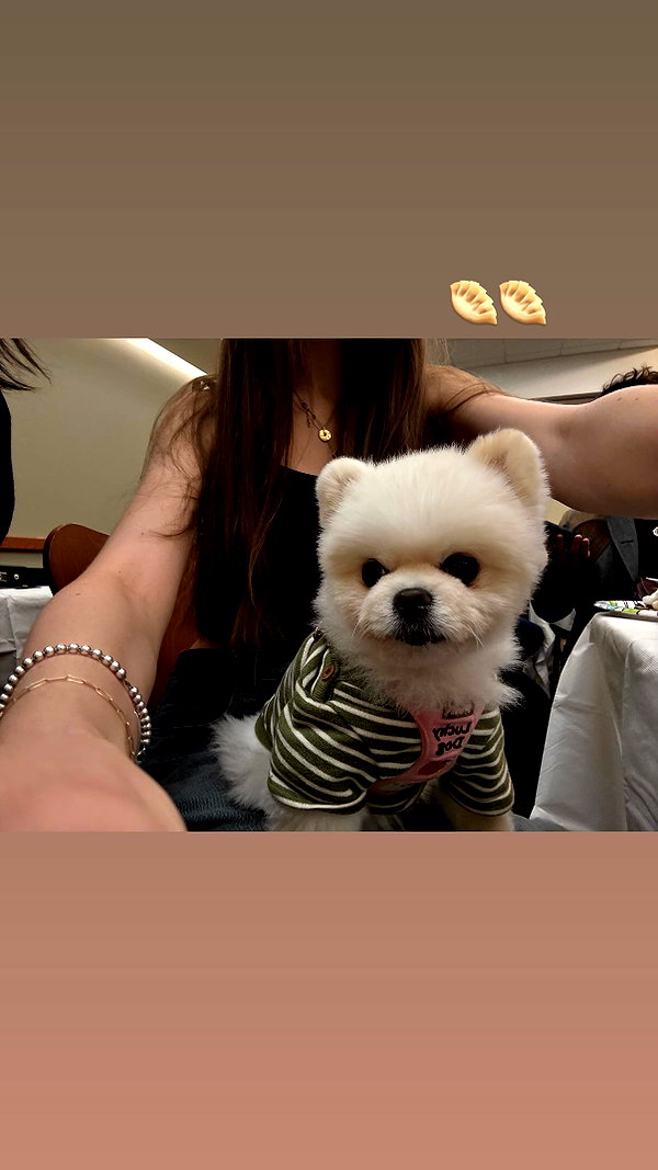lollinski instagram image archive image
