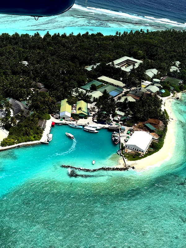 sabiyo instagram image archive image