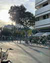 dante_yangpa Altpins Profile Picture