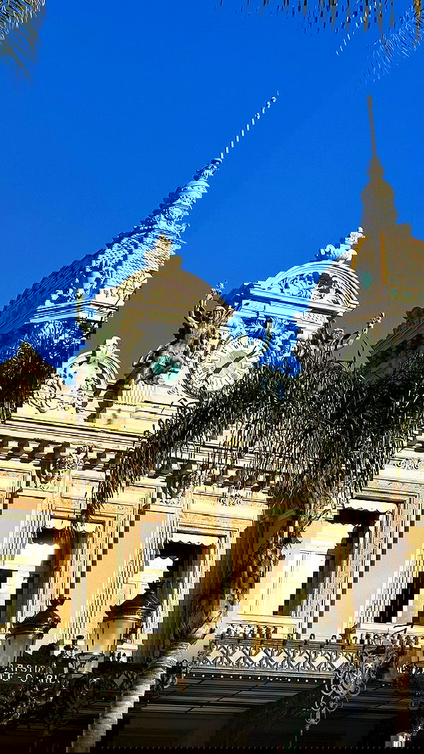 taylor.creeden taylor.creeden archive image