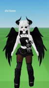 tarantvlagrll Altpins Profile Picture