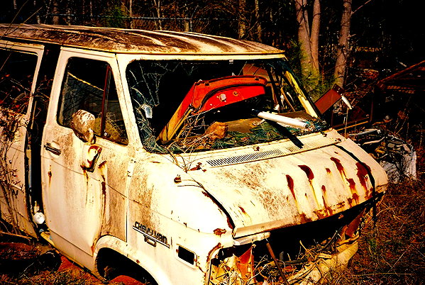 bugz4brainz instagram image archive image