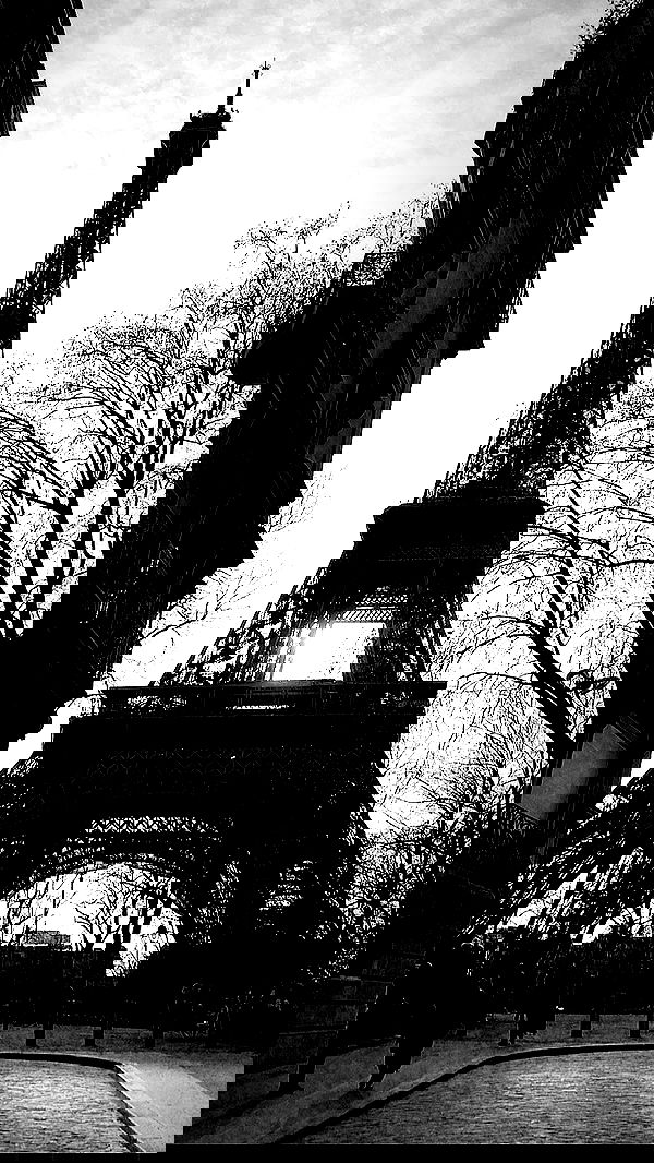 taylor.creeden taylor.creeden archive image