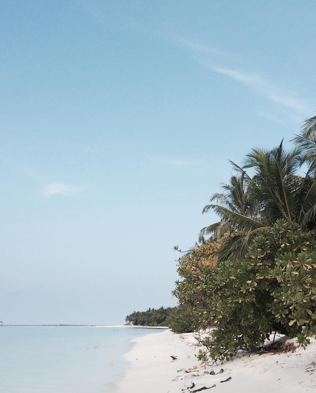 kkulakovaa instagram image archive image