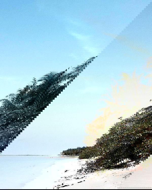 kkulakovaa image ~ Altpins