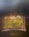 alisen.mari Altpins Profile Picture