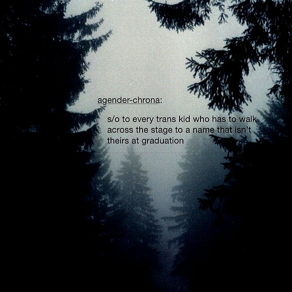 hallucineon instagram image archive image