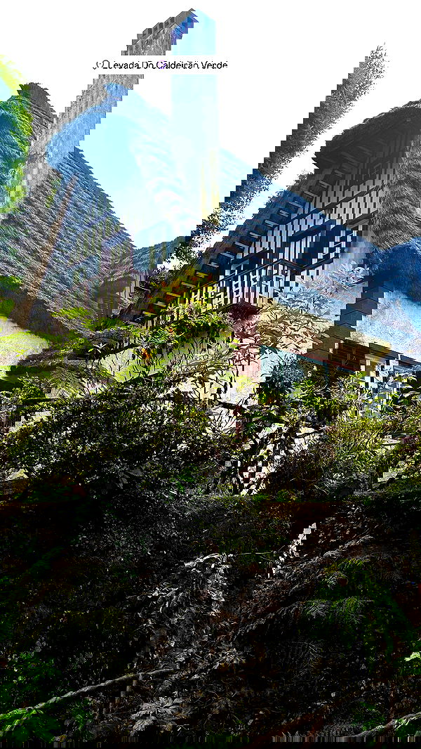 taylor.creeden taylor.creeden archive image