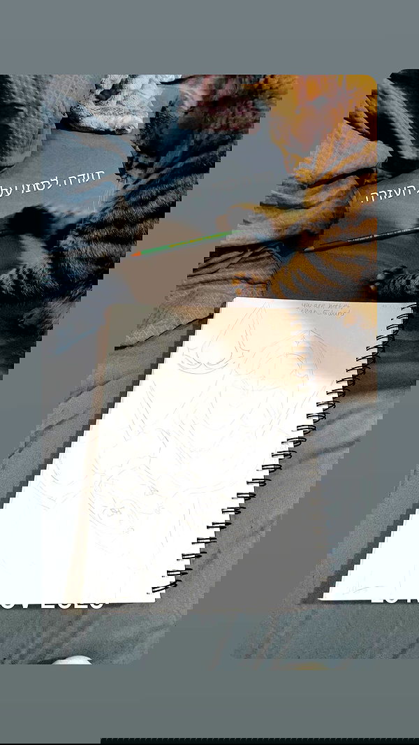 strawberryshanz strawberryshanz archive image