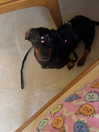 kahvgxz Altpins Profile Picture