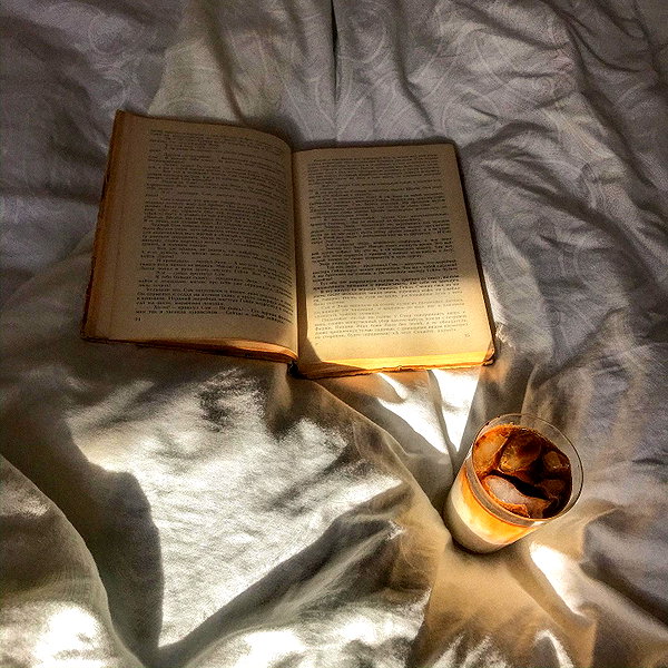 yanavekno instagram image archive image