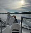rouxroux.tv Altpins Profile Picture