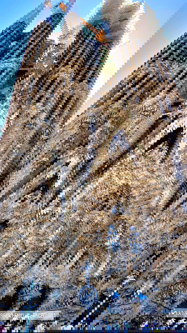 taylor.creeden taylor.creeden archive image