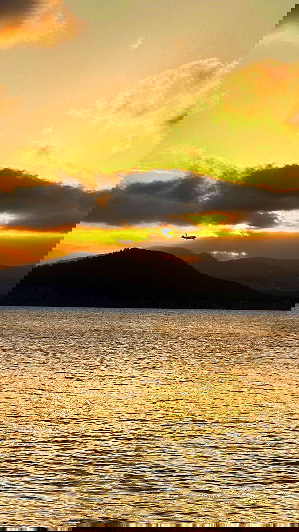 taylor.creeden taylor.creeden archive image