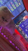 kennakins.cos Altpins Profile Picture
